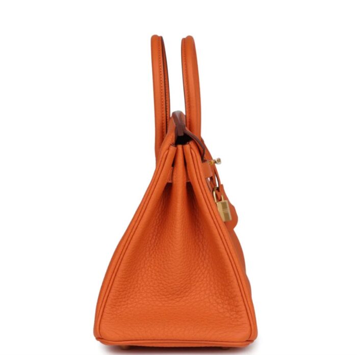 HERMES Birkin 25 Orange Togo Gold Hardawre - Image 2